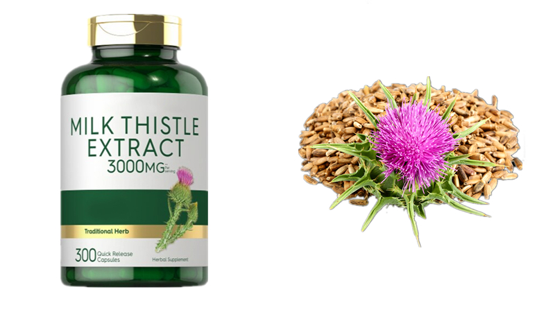 Is milk thistle good for a hangover?